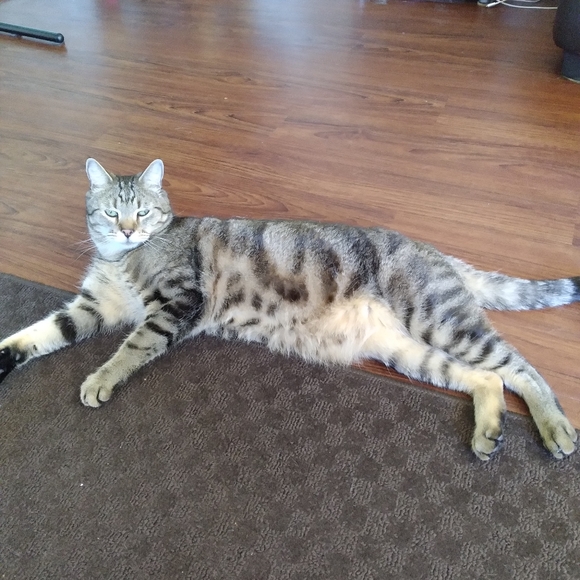 Meet your Posher, Amanda - Picture 3 of 3